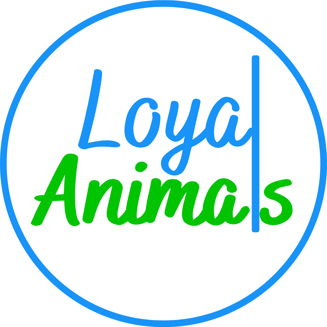 Loyal Animals